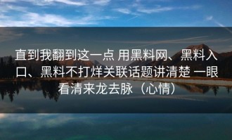 直到我翻到这一点 用黑料网、黑料入口、黑料不打烊关联话题讲清楚 一眼看清来龙去脉（心情）