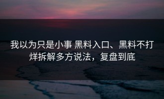 我以为只是小事 黑料入口、黑料不打烊拆解多方说法，复盘到底
