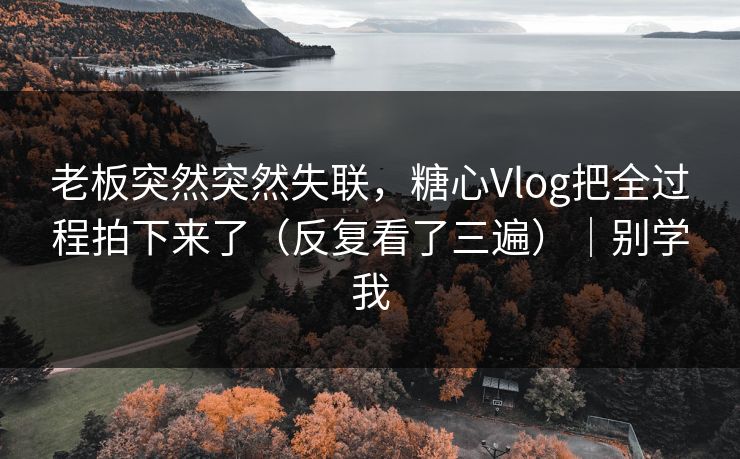 老板突然突然失联，糖心Vlog把全过程拍下来了（反复看了三遍）｜别学我