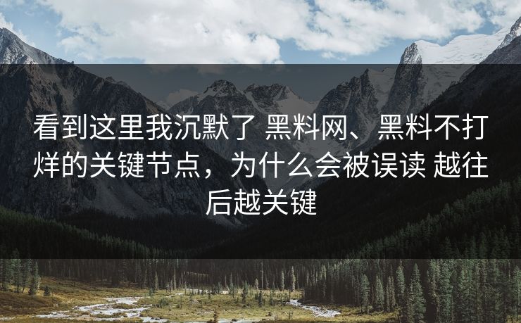 看到这里我沉默了 黑料网、黑料不打烊的关键节点，为什么会被误读 越往后越关键
