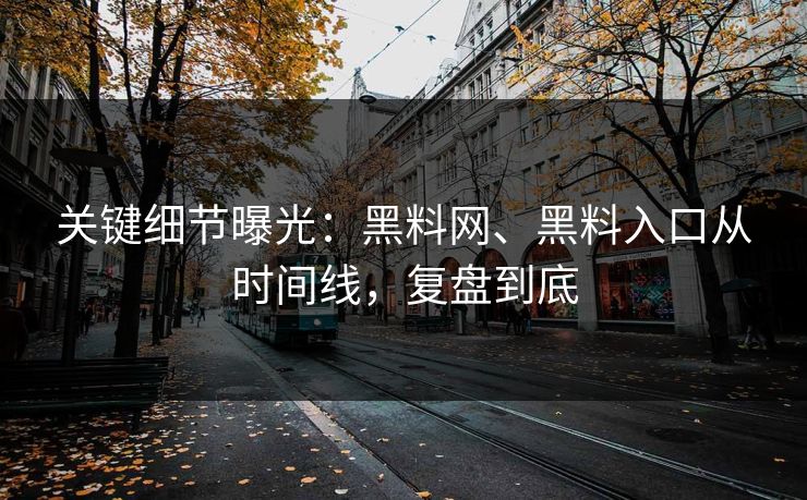 关键细节曝光：黑料网、黑料入口从时间线，复盘到底