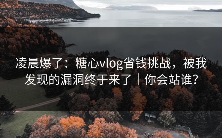 凌晨爆了：糖心vlog省钱挑战，被我发现的漏洞终于来了｜你会站谁？