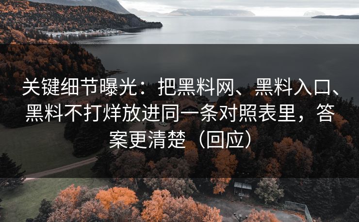 关键细节曝光：把黑料网、黑料入口、黑料不打烊放进同一条对照表里，答案更清楚（回应）