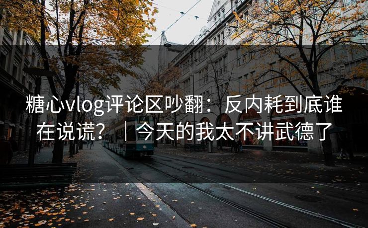 糖心vlog评论区吵翻：反内耗到底谁在说谎？｜今天的我太不讲武德了