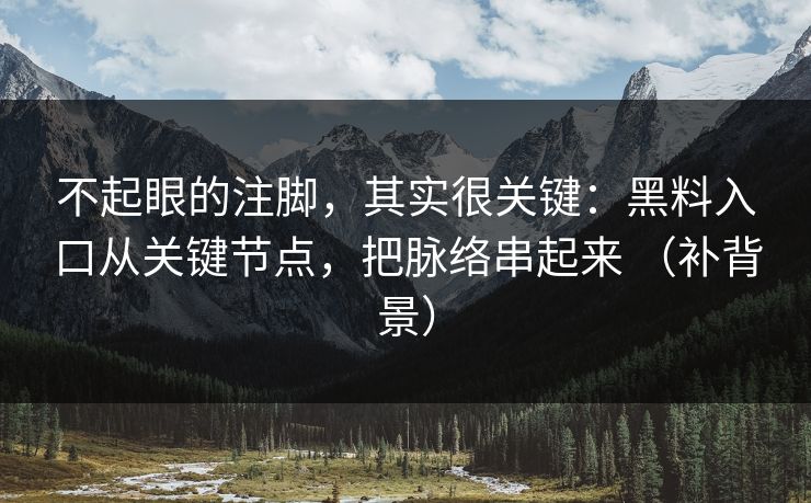 不起眼的注脚，其实很关键：黑料入口从关键节点，把脉络串起来 （补背景）