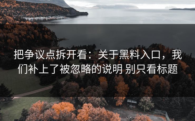 把争议点拆开看：关于黑料入口，我们补上了被忽略的说明 别只看标题