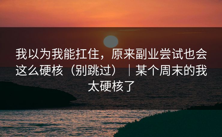 我以为我能扛住，原来副业尝试也会这么硬核（别跳过）｜某个周末的我太硬核了
