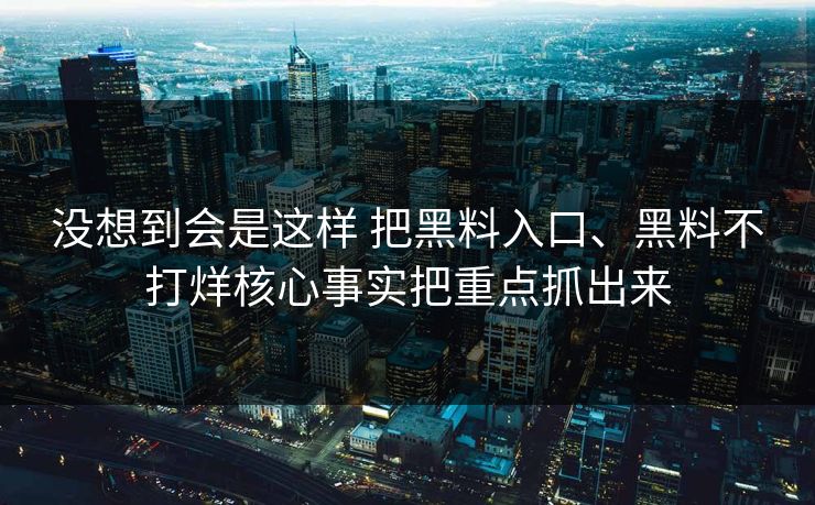 没想到会是这样 把黑料入口、黑料不打烊核心事实把重点抓出来