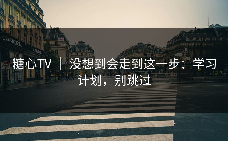 糖心TV ｜ 没想到会走到这一步：学习计划，别跳过
